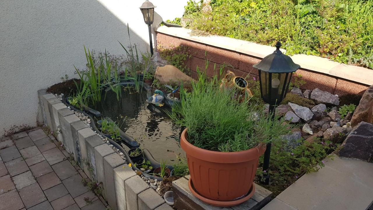 Apartment Gartenblick Neunkirchen  Eksteriør bilde